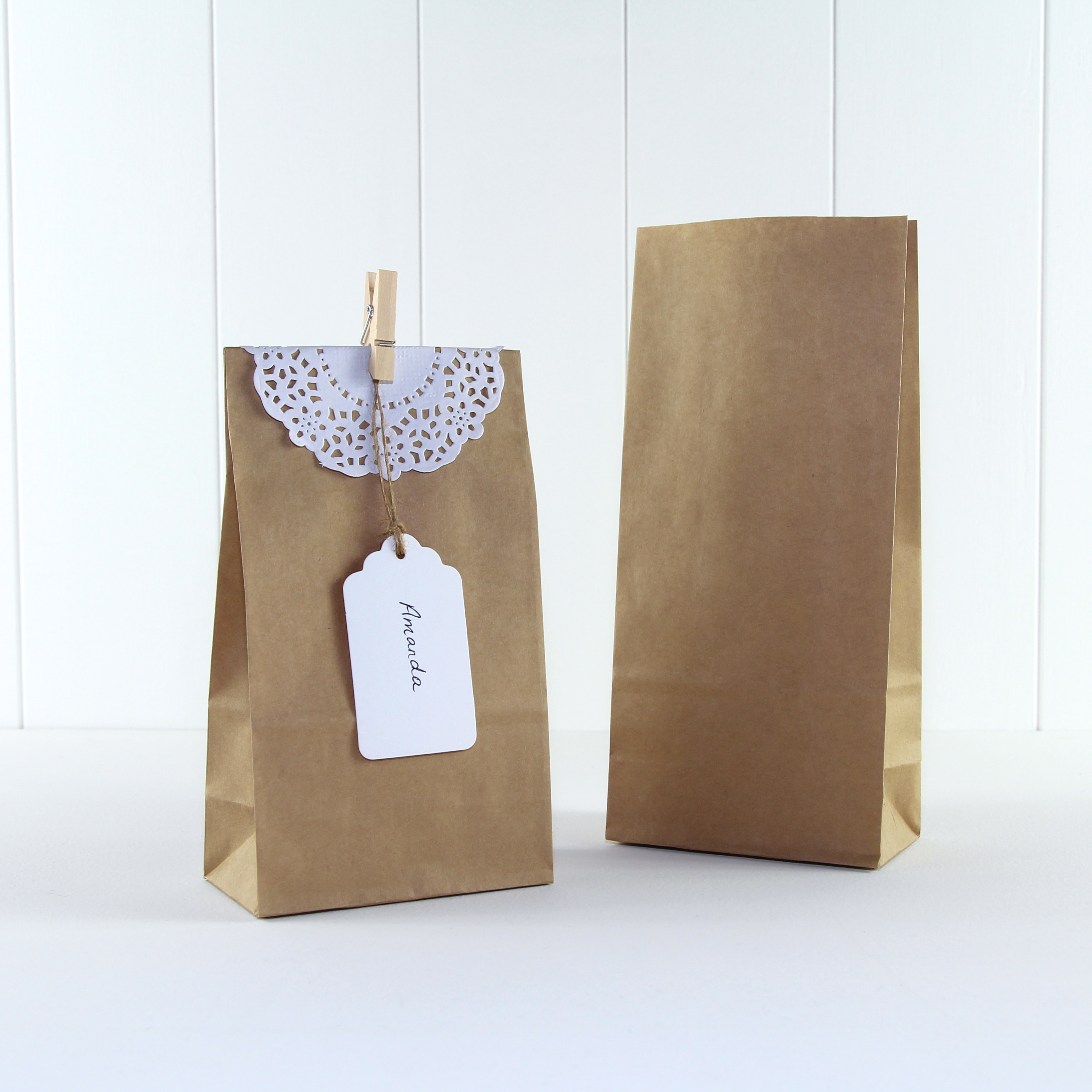 Paper Party Bag ~ Kraft | Brown Paper Bags | NZ